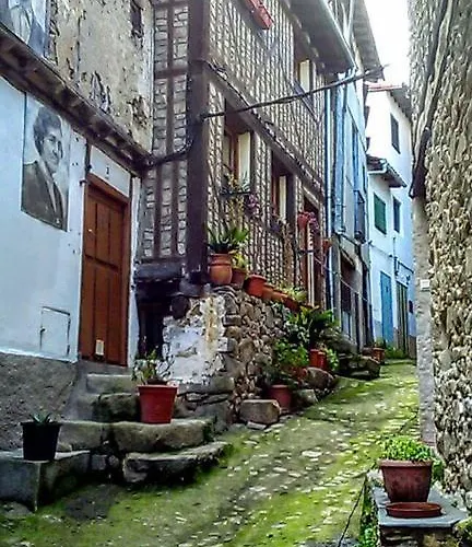 Rural El Pino 아파트 모가라스